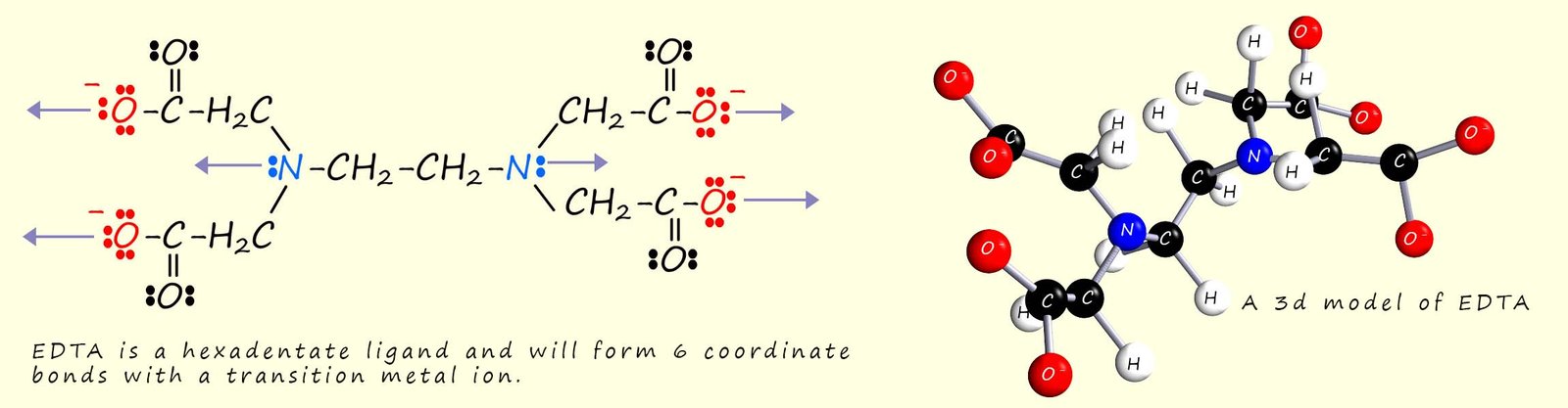 Displayed formula and 3d model of the hexadentate ligand EDTA